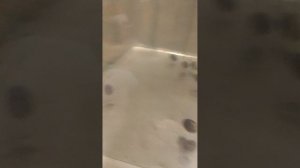 лотос