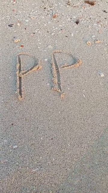 PROSHIN PRODUCTION WORLD TRIP