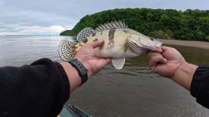 Рыбалка на р. Амур в черте Хабаровска