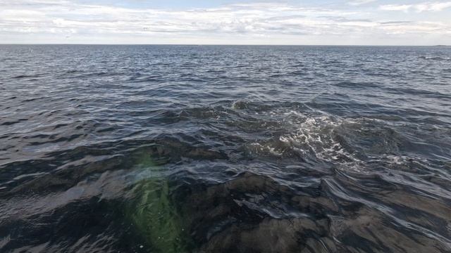 Баренцево море