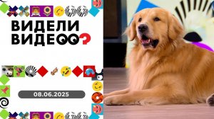 Видели видео? Выпуск от 08.06.2025
