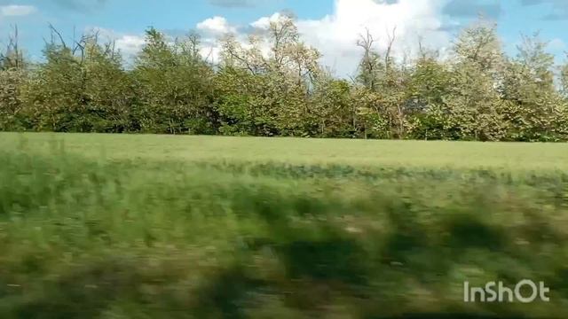 покатушки архив смотреть онлайн