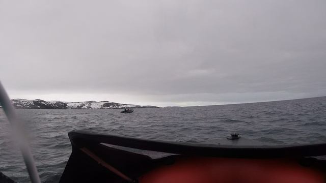 GOPR2884 смотреть онлайн