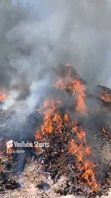 САМЫЙ НАДЁЖНЫЙ СПОСОБ ВЫВЕСТИ БЛОХ, КЛЕЩЕЙ,ВШЕЙ И ПРОЧУЮ ЗАРАЗУ ИЗ КУРЯТНИКА!!! 08.06.2025 год. смотреть онлайн