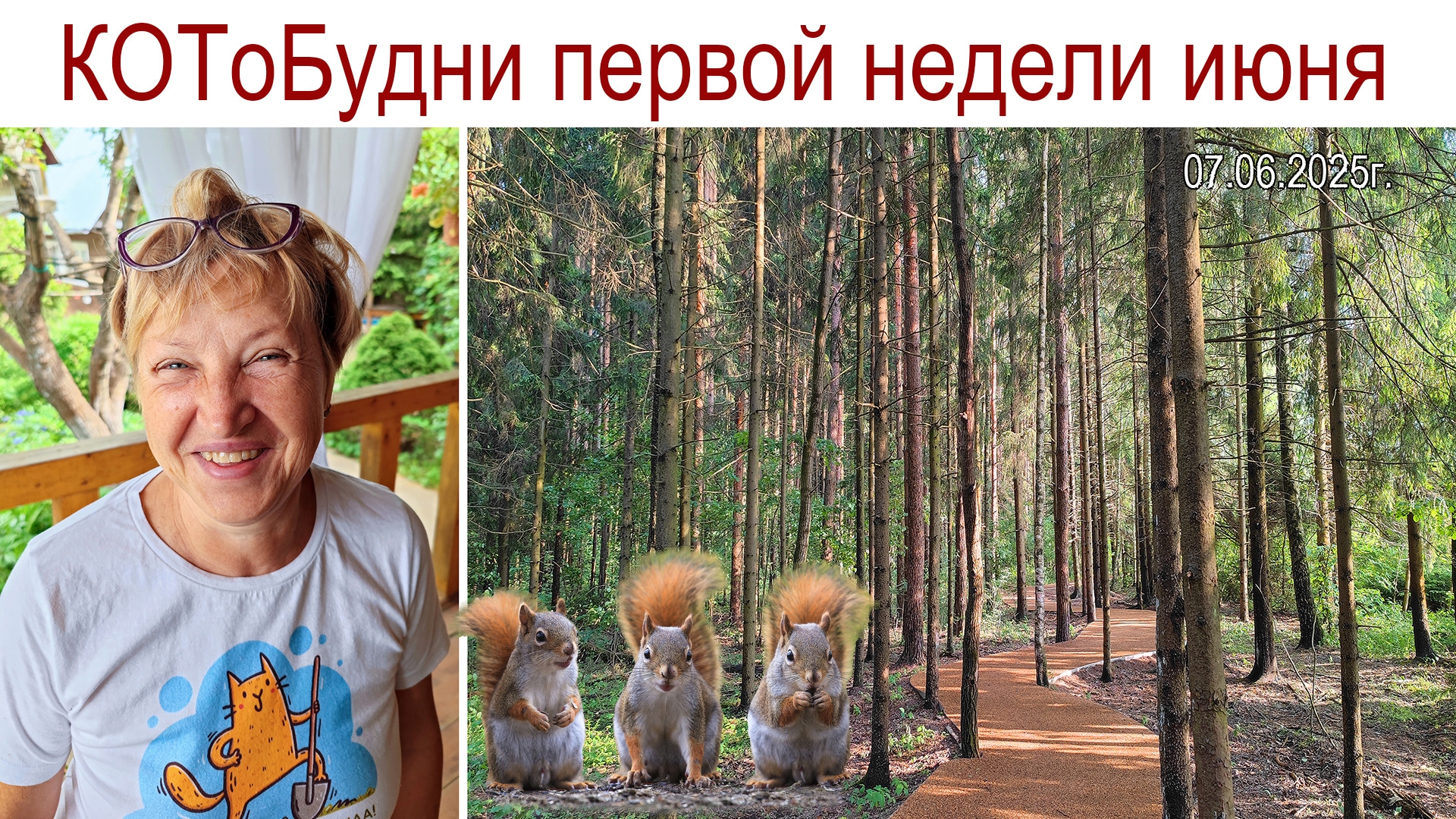 КОТоБудни: Ну до чего же хороши и ярки краски лета... смотреть онлайн