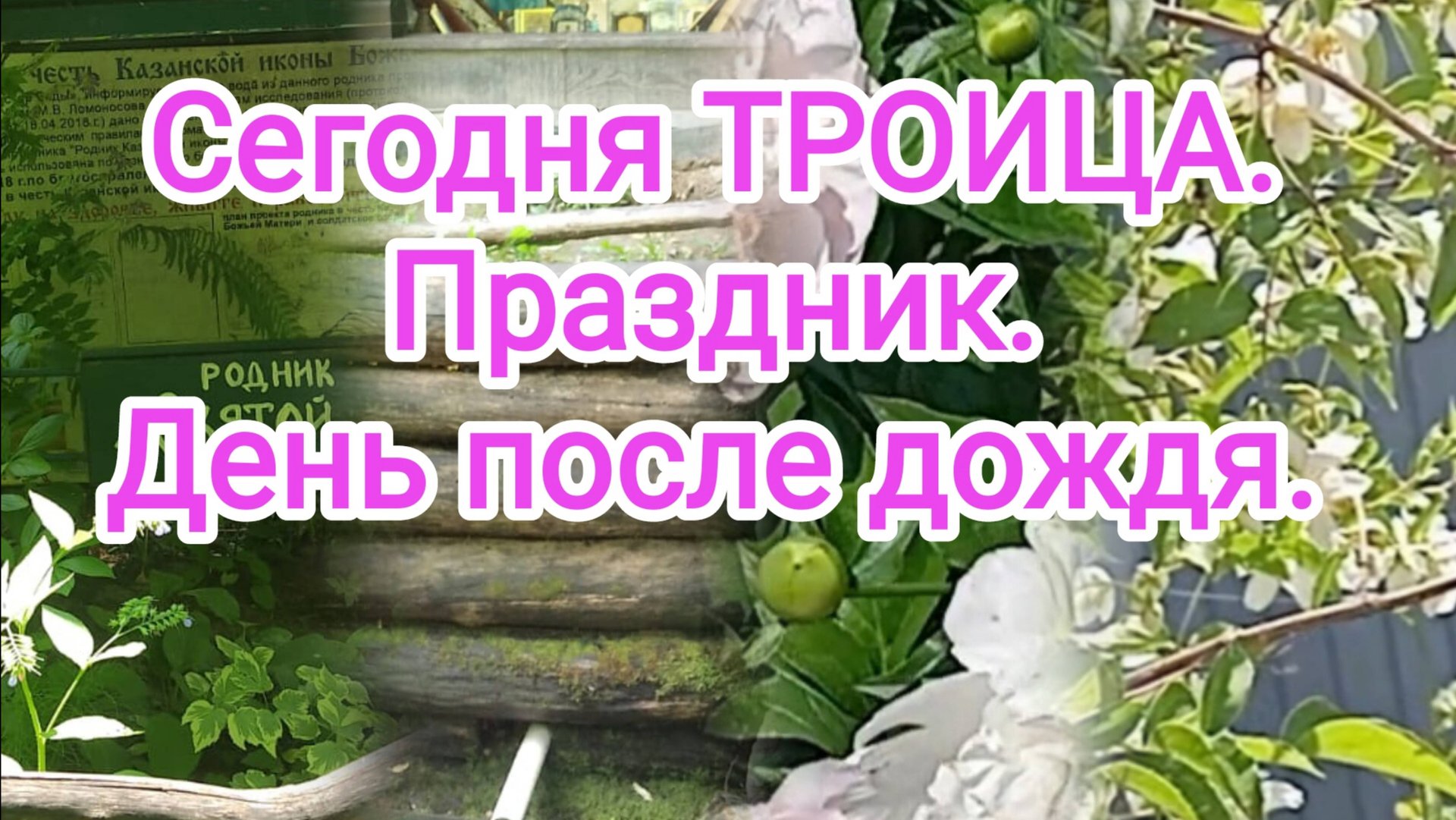 Сегодня ТРОИЦА. Праздник. День после дождя. смотреть онлайн