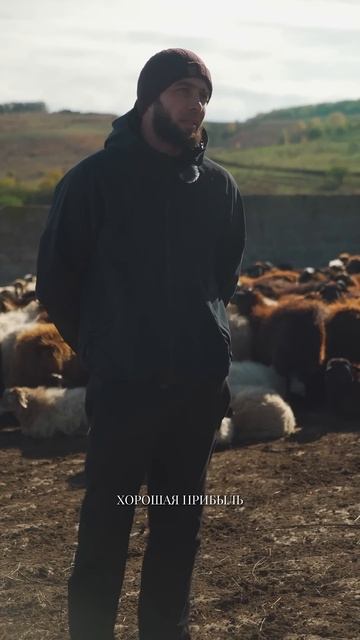 САМОЕ ВЫГОДНОЕ ЖИВОТНОВОДСТВО смотреть онлайн