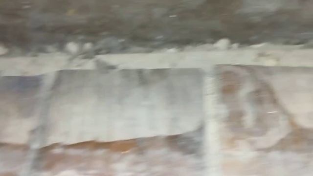 дыры откуда лезут мыши / новые пижамы / линейка смотреть онлайн