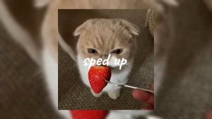 Gata Only speed up #подпишись #music #рекомендации #музыка