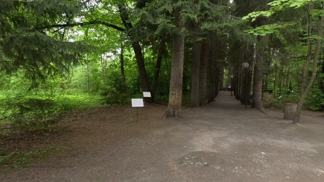 прогулки по Карелии