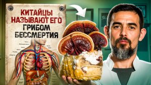 Почему ЭТОТ редкий гриб так ценят в Китае?