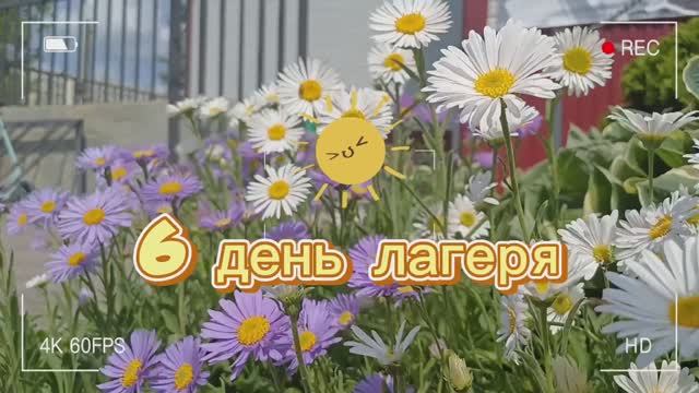 Спортивный день в ЛДО 2025