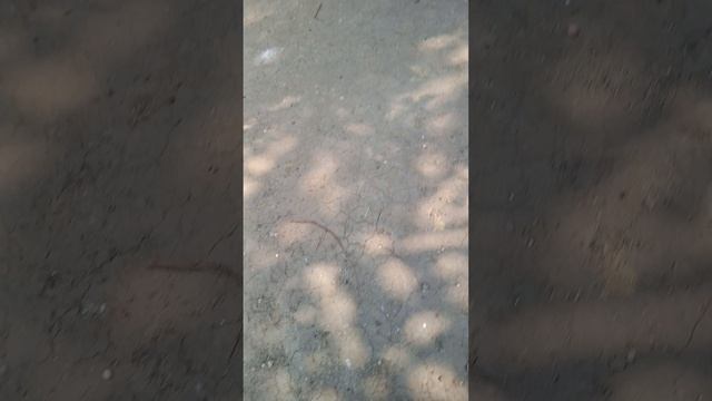 сделали хорошее дело