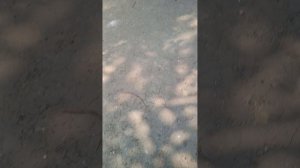 сделали хорошее дело