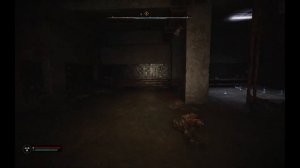 Лаборатория х5  тайник стрелка S T A L K E R  2  Heart of Chornobyl