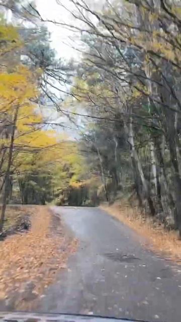 Дорога на Ай-Петри смотреть онлайн
