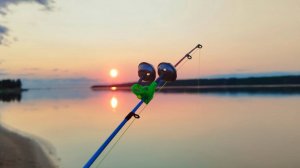 Один на Реке. Рыбалка на Донки. Первый Лещ.