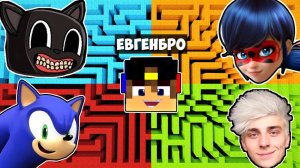 ВЫБЕРИ ПРАВИЛЬНЫЙ ЛАБИРИНТ ВЛАД А4 МУЛЬТЯШНЫЙ КОТ ЛЕДИ БАГ в МАЙНКРАФТ НУБ И ПРО MINECRAFT Евгенбро