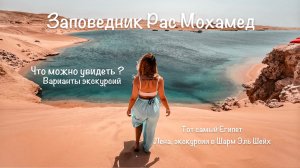 Топ экскурсий в Шарм Эль Шейх. Что посмотреть в заповедник Рас Мохамед.
