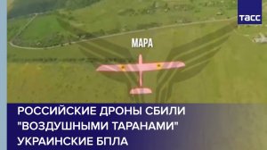 Российские дроны сбили «воздушными таранами» украинские БПЛА
