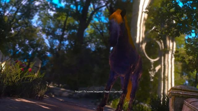О чем говорят лошади | The Witcher 3 Wild Hunt