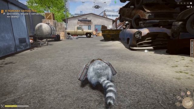 ДЕНЬ ЛЮТОЙ БЕГОТНИ | Wanted Raccoon #3