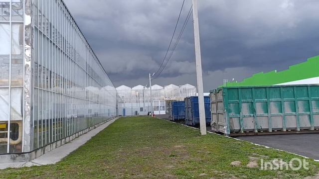 Попала в бурю, у страха глаза велики. смотреть онлайн