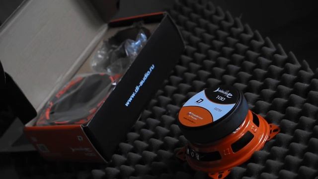 ОБЗОР на МИНИАТЮРНЫЕ динамики BARRACUDA 100 от DL AUDIO!