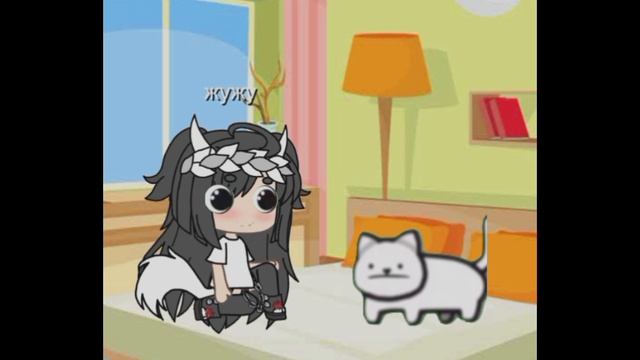 ||12:58|| котик в шоке😳😳 смотреть онлайн