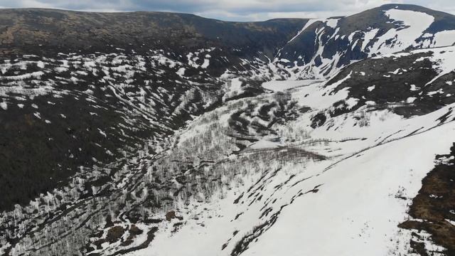Приисковое 2 июнь 2019 смотреть онлайн