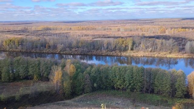 Лысая гора. Город Гороховец. 21.10.2024 г. смотреть онлайн