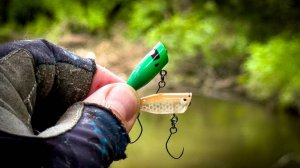 БЕЗОТКАЗНАЯ ПРИМАНКА по ГОЛАВЛЮ / РАЗВЕДКА НОВОЙ РЕКИ / РЫБАЛКА на СПИННИНГ ЛЕТОМ