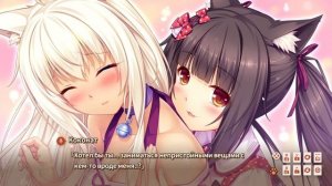 КАСЁ + КОЛА + КОКОНАТ = НЕЕЕЕЕЕЕТ!!! ► Nekopara 2 (7)