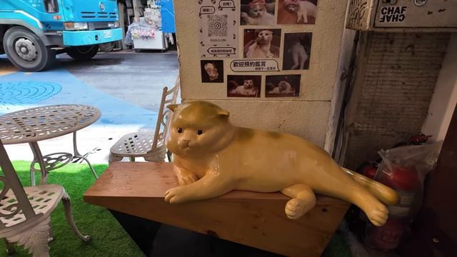 Прекрасная прогулка по улицам района Датун! ТАЙВАНЬ)= смотреть онлайн