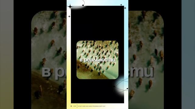 Ему Нужно Обрести Знание.. смотреть онлайн