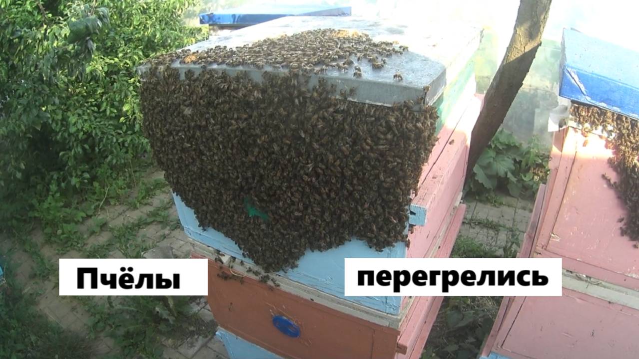 Охлаждение верхних корпусов. смотреть онлайн