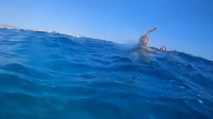 🇪🇬 Ревизия Stella Di Mare Beach Hotel & Spa5*  Шарм Эль Шейх Подводн