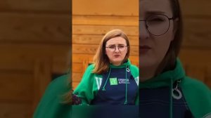 Подкормку золу надо гасить уксусом