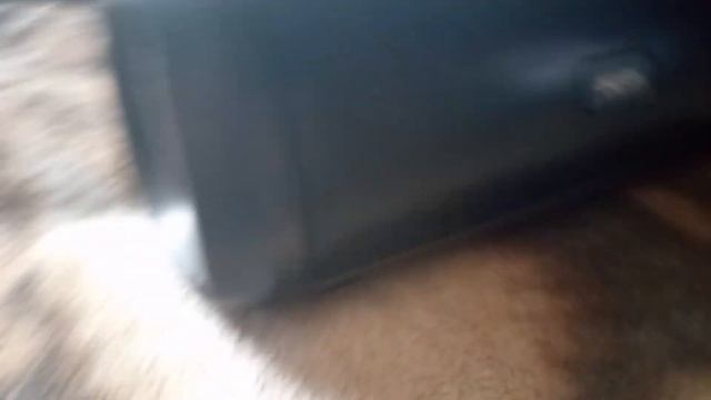 Обзор колонки Dexp P570