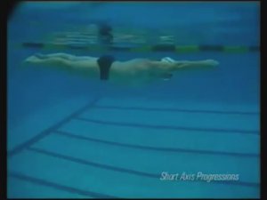 Полное погружение. (брасс и баттерфляй)