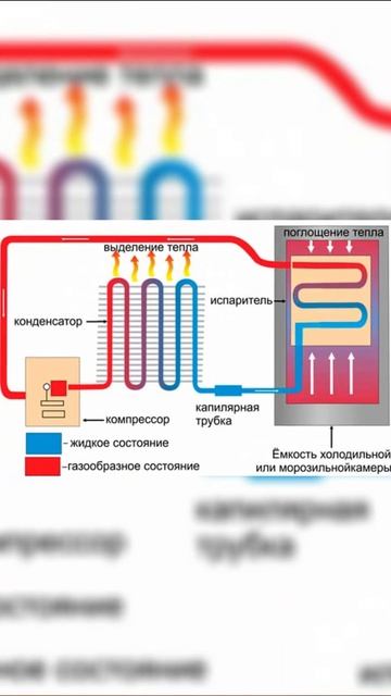 Физика ЕГЭ 2025 #физика #егэ смотреть онлайн