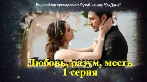 Обзор турецкого сериала "Любовь, разум, месть" 1 серия