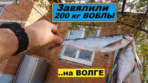 🔥 200 кг ВОБЛЫ завялили🔥...на Волге на рыбалке в Астрахани-2025✭✭✭