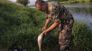 Эта снасть удивила. А на поплавок не хочет.