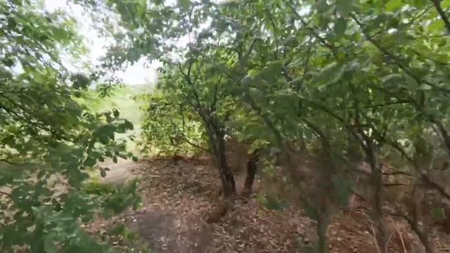 ЗЕМЕЛЬНЫЙ УЧАСТОК СТ.ВЫСЕЛКИ КРАСНОДАРСКИЙ КРАЙ.  ЦЕН?