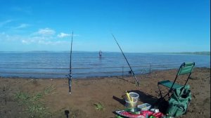 Рыбалка с закормочным корабликом.