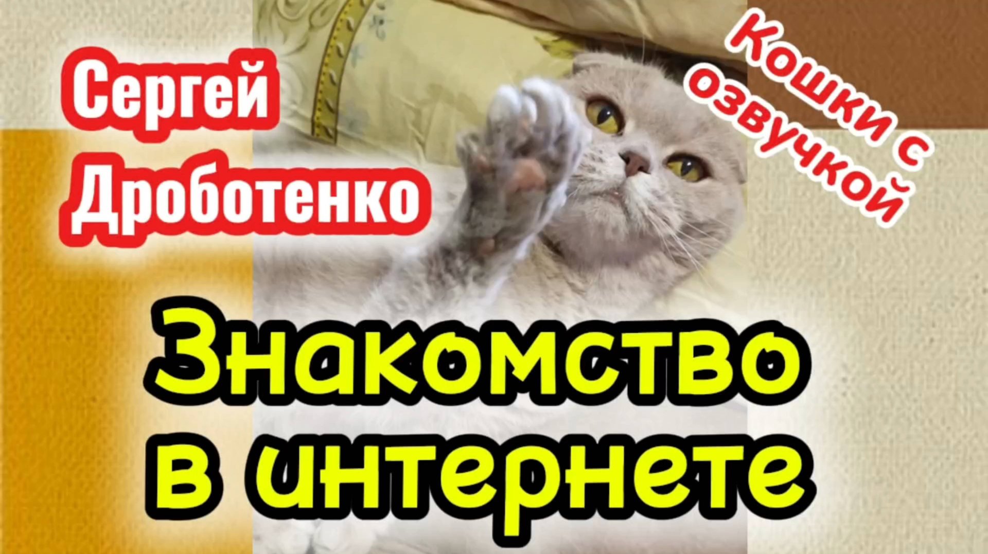 КОШКИ С ОЗВУЧКОЙ. смотреть онлайн