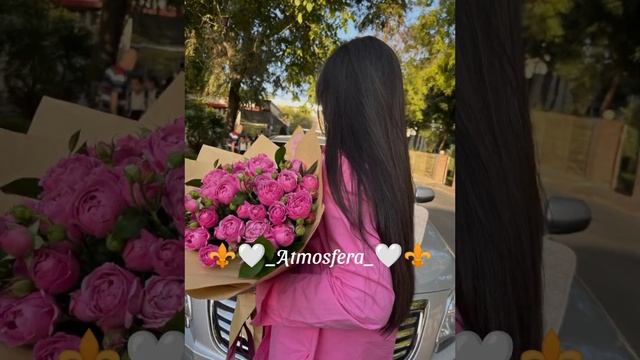 😻🤍новая песня для души🤍😻 смотреть онлайн