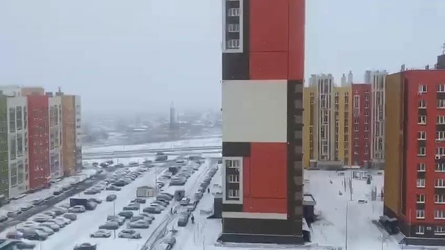 знакомьтесь с моей собакой
