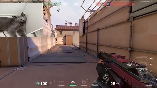 CHRONICLE ПРО ПОДПИВАСОВ НА РЕЙНЕ и ЧЕМБЕРА В РАНКЕДЕ | Нар?